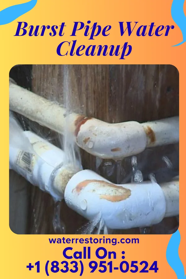 Burst Pipe Water Cleanup in Summitville, IN