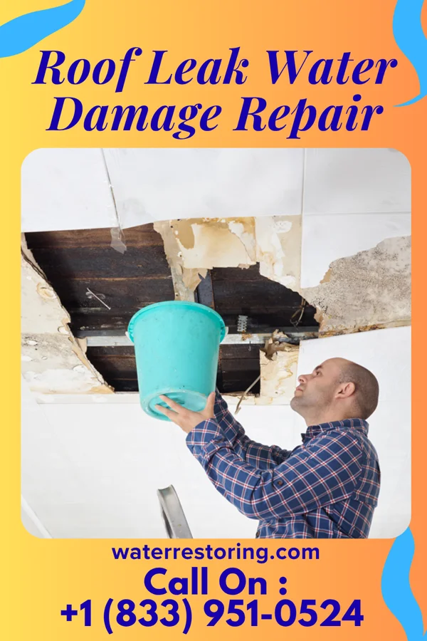 Roof Leak Water Damage Repair in Summitville, IN